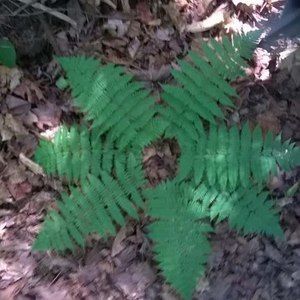 Meet your Posher, Colin